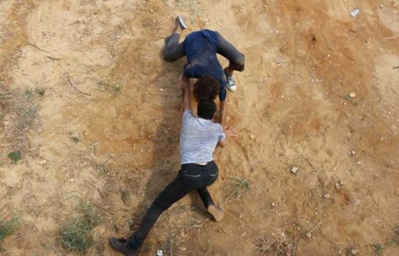 Воплощая в теле инстинктивный интеллект - ведущий Бруно Каверна - Центр Контактной Импровизации в Москве