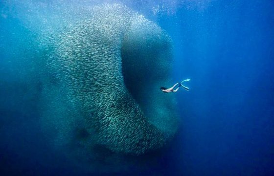 Расписание