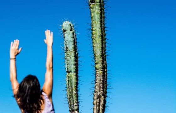 ДЖЕМ АНДЕРСКОР (UNDERSCORE JAM) с Живой Музыкой - ведущий Александра Безроднова - Центр Контактной Импровизации в Москве