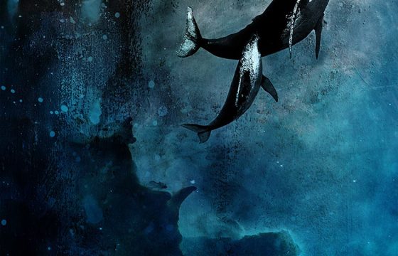 Контактная импровизация: китовое присутствие - ведущий Ната Постскриптум - Центр Контактной Импровизации в Москве