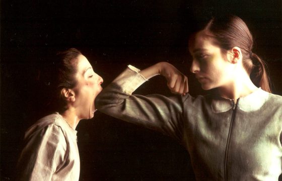 Лаборатория перфоманса -когда тело говорит - ведущие Полина Быховская и Тома Нуэво - Центр Контактной Импровизации в Москве