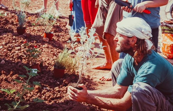 Лекции по Пермакультуре, Интегральному Устойчивому Развитию и целительству в -Додо- и в -Море Внутри - ведущий Рон Орен - Центр Контактной Импровизации в Москве