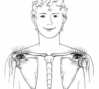 Встреча-лекция по анатомии, физиологии, цитологии для танцоров